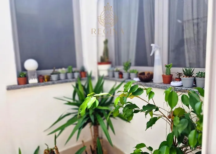 Apartment Regina In Porta Romana 1 Mailand